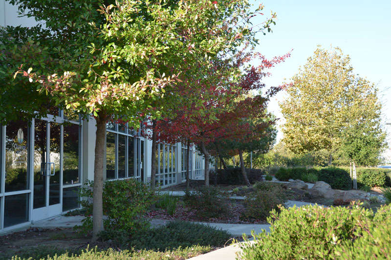 Sacramento campus